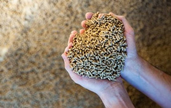 Trung Quốc săn lùng mặt hàng mới nổi của Việt Nam dù có sản lượng đứng đầu thế giới: Thu về hơn 1 tỷ USD năm qua, Campuchia, Malaysia cũng tham gia cuộc đua - Ảnh 1.