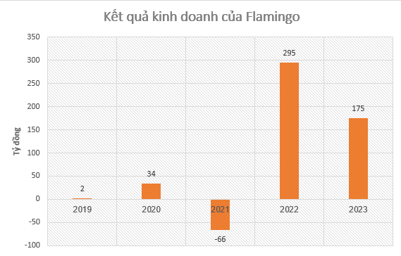 Flamingo báo lãi 175 tỷ đồng trong năm 2023, đầu tư  loạt dự án mới tại Hà Nam, Tuyên Quang - Ảnh 1.