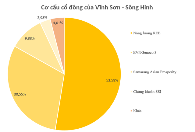 DN đằng sau nhà máy điện có đường hầm dẫn nước dài nhất, đập đất và cột nước cao nhất Việt Nam: Lợi nhuận quý 1/2024 giảm 99%, bị đối tác kiện ra tòa vì 'siêu' dự án kể trên - Ảnh 2.