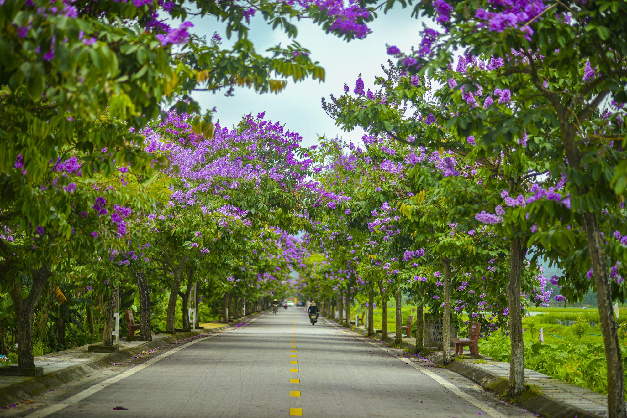 Diện mạo thị xã nằm ở giao điểm tam giác kinh tế Hà Nội - Hải Phòng - Quảng Ninh, có thể đưa tỉnh giáp biên giới trở thành tỉnh có nhiều thành phố nhất- Ảnh 10.