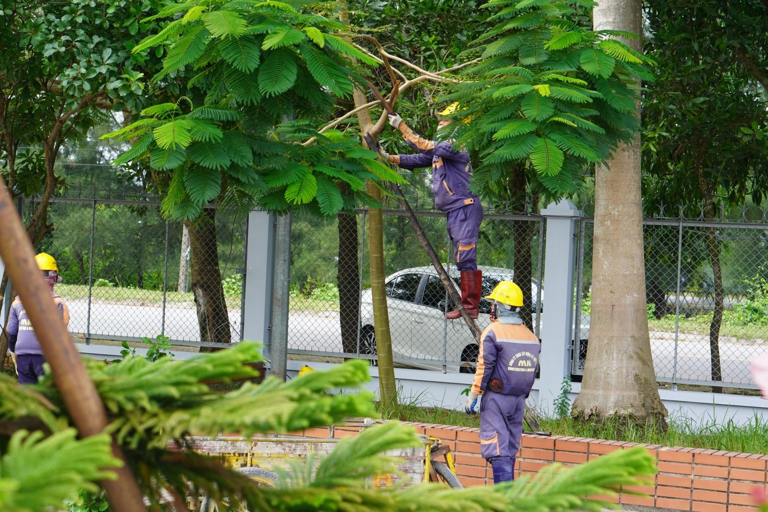 [Chùm ảnh] Nhà máy Nhiệt điện Thái Bình 2: Chủ động, sẵn sàng ứng phó với “siêu bão