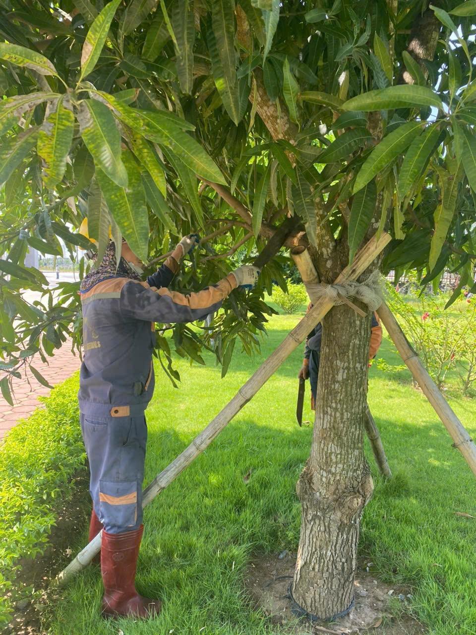 Nhà máy Nhiệt điện Thái Bình 2: Chủ động, sẵn sàng ứng phó với “siêu bão