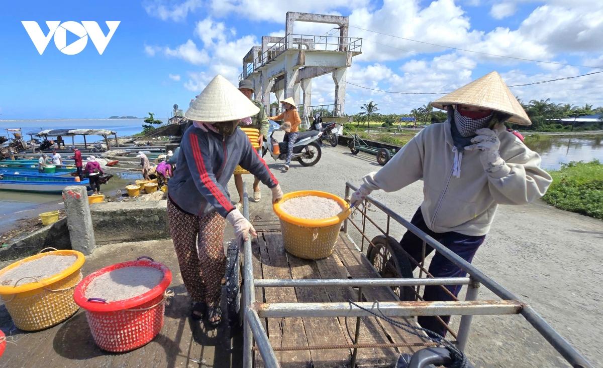 Người dân Cà Mau kiếm 2-3 triệu đồng/ngày nhờ khai thác ruốc biển- Ảnh 10. Người dân Cà Mau kiếm 2-3 triệu đồng/ngày nhờ khai thác ruốc biển- Ảnh 10.