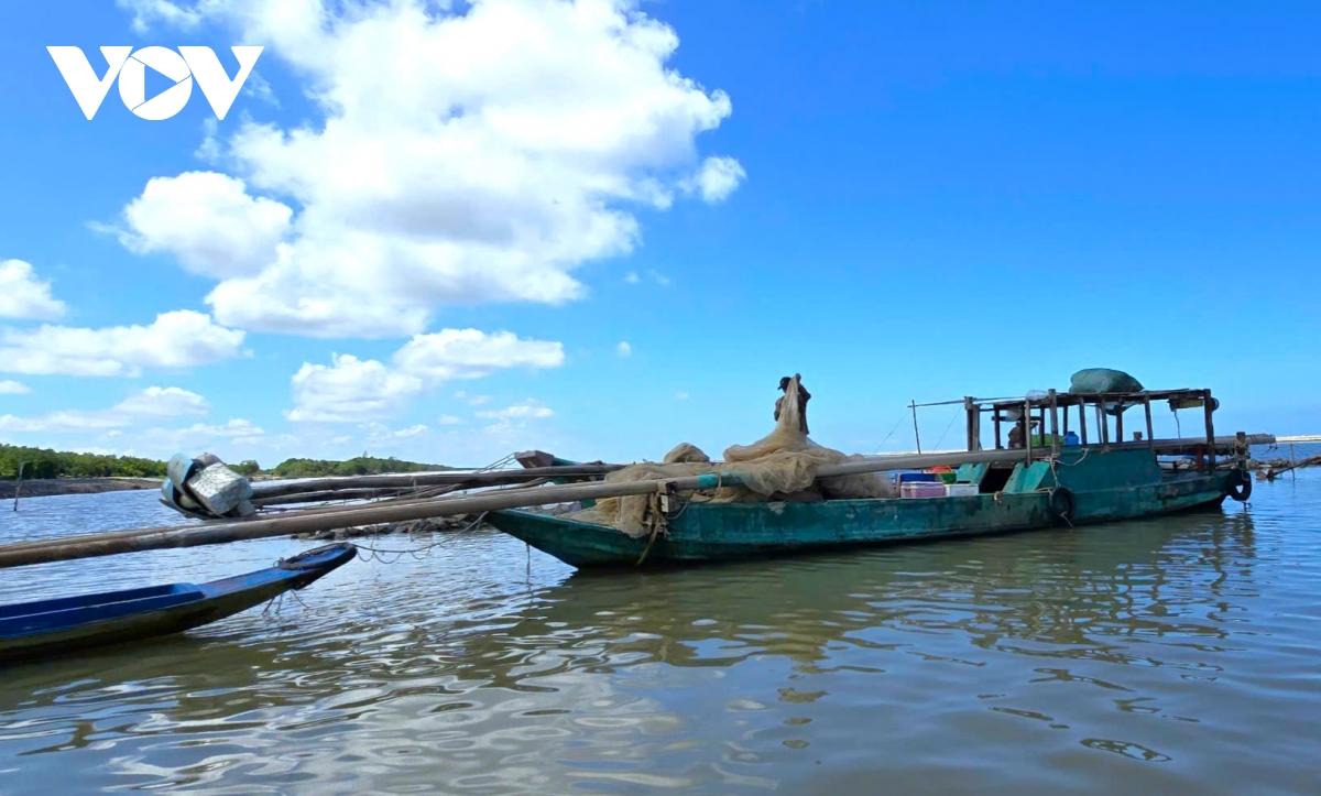 Người dân Cà Mau kiếm 2-3 triệu đồng/ngày nhờ khai thác ruốc biển- Ảnh 4. Người dân Cà Mau kiếm 2-3 triệu đồng/ngày nhờ khai thác ruốc biển- Ảnh 4.