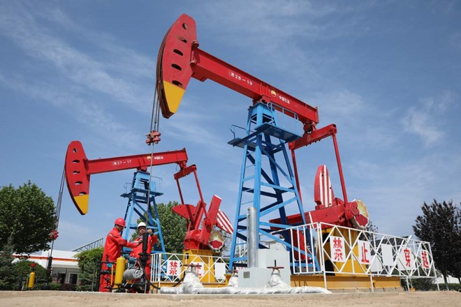Dự báo thị trường dầu mỏ năm 2025