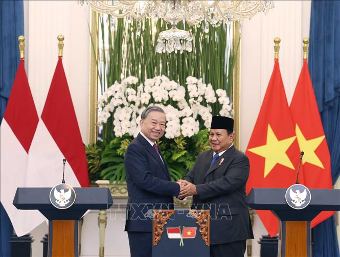 chuyen tham cua tong bi thu to lam toi indonesia singapore nang tam vi the viet nam hinh 1