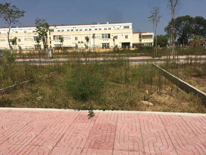 Chủ đất nền ngoại thành Hà Nội mòn mỏi chờ người mua
