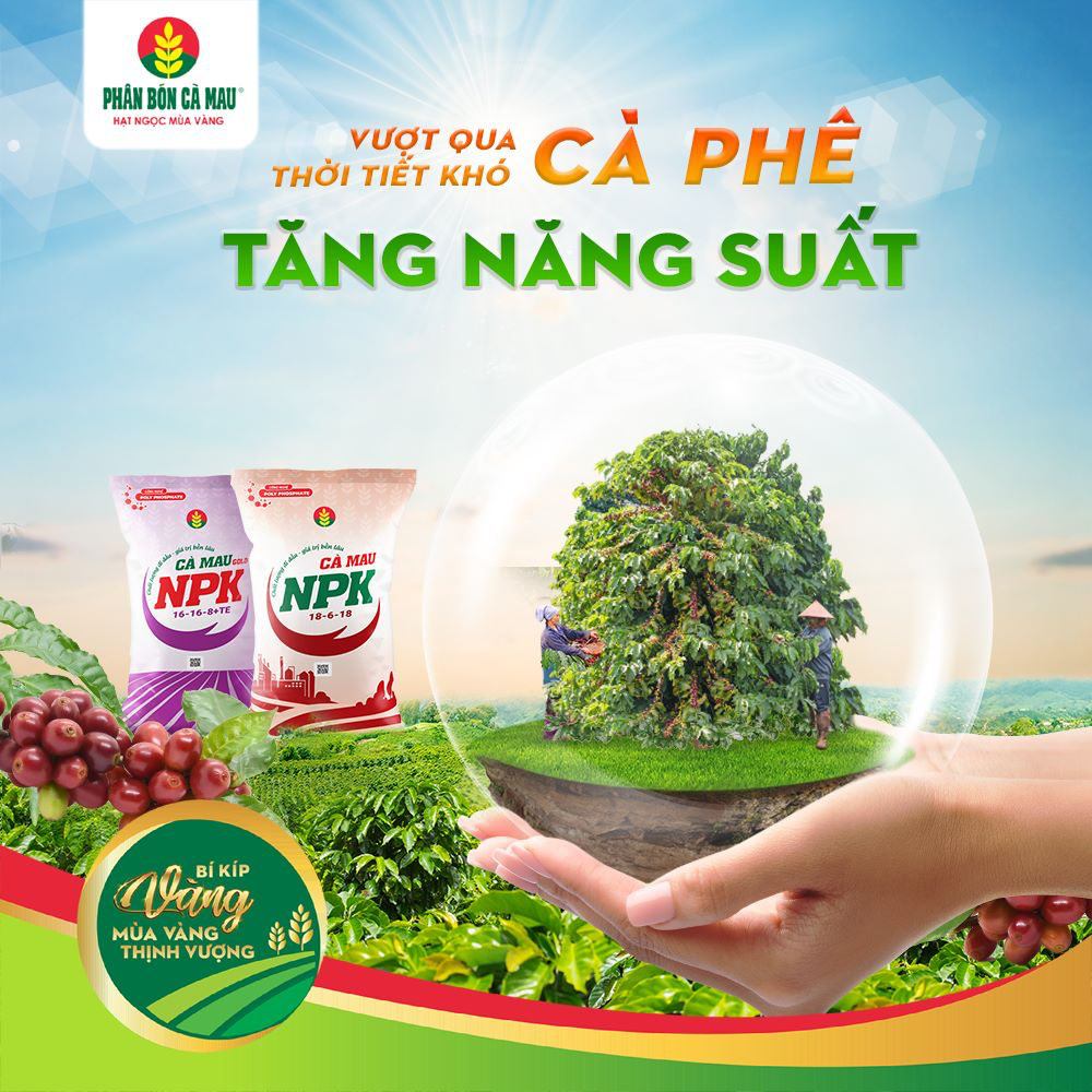 Phân bón Cà Mau: Lắng nghe thị trường - Hành động thiết thực