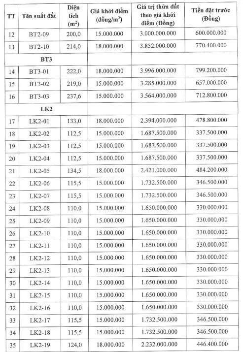 Thông tin một số thửa đất trong phiên đấu giá ngày 28.3 tại Hưng Yên. Ảnh chụp màn hình