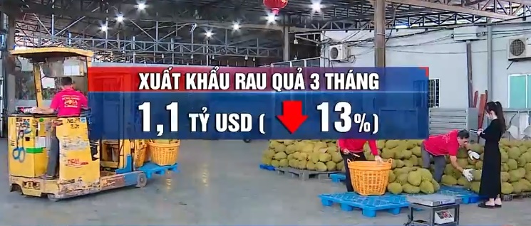 Xuất khẩu rau quả cả nước giảm 3 tháng liên tiếp- Ảnh 1.