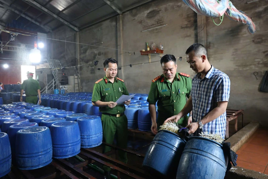 Lực lượng chức năng làm việc với Nguyễn Văn Tân (áo kẻ) tại cơ sở sản xuất giá đỗ 'ngậm' hóa chất. Ảnh: CABG