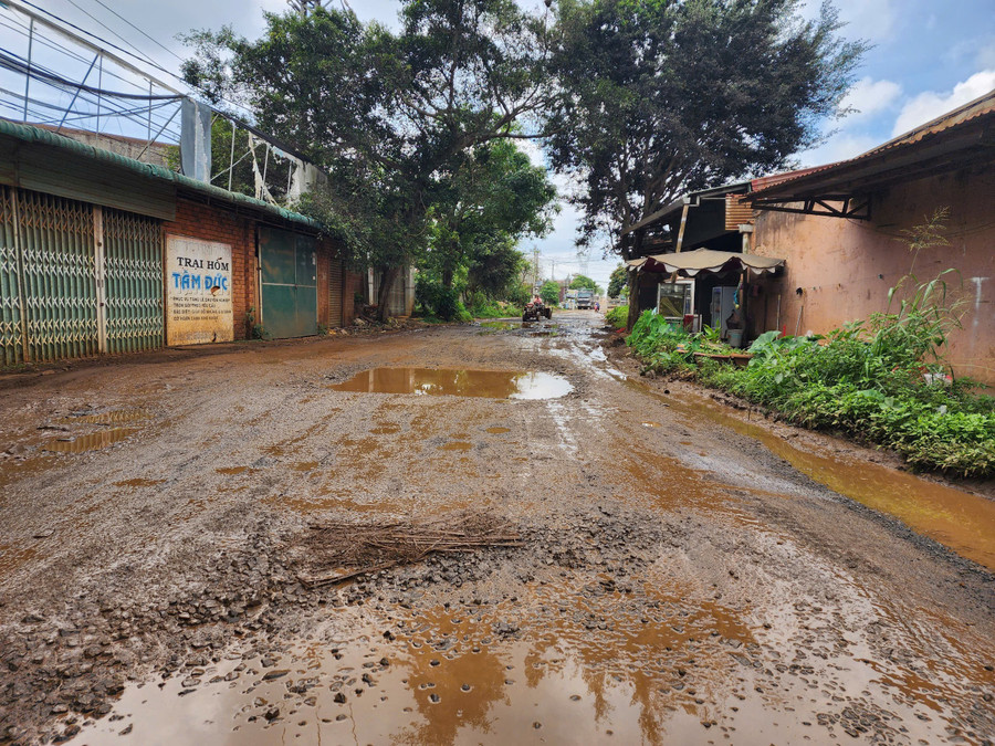 Dự án đường Hồ Chí Minh đoạn tránh phía Đông TP Buôn Ma Thuột (cũ) còn 113m chưa giải phóng mặt bằng. (Ảnh: Thành Tâm) duong-tranh.jpg