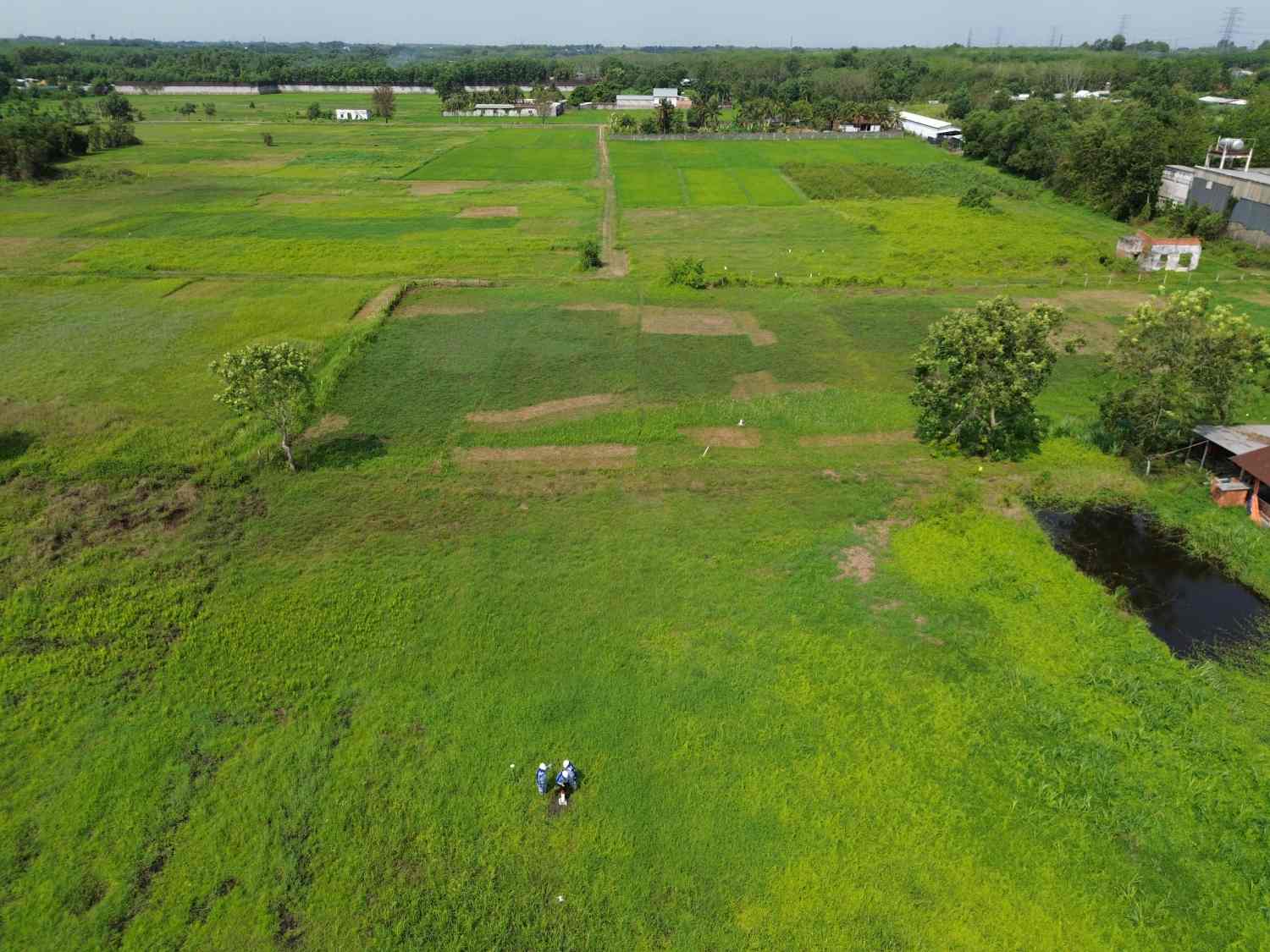 Khu vực nơi dự án cao tốc TPHCM - Mộc Bài đi qua. Ảnh: Minh Quân