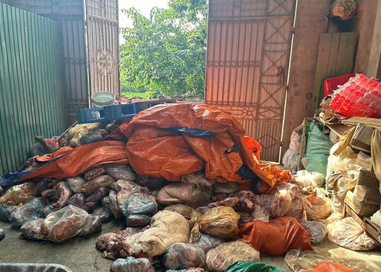 Hàng tấn thịt lợn bốc mùi hôi thối được phát hiệt tại nhà ông Hoàng Văn Kiểm. Ảnh: CA xã Liên Châu.