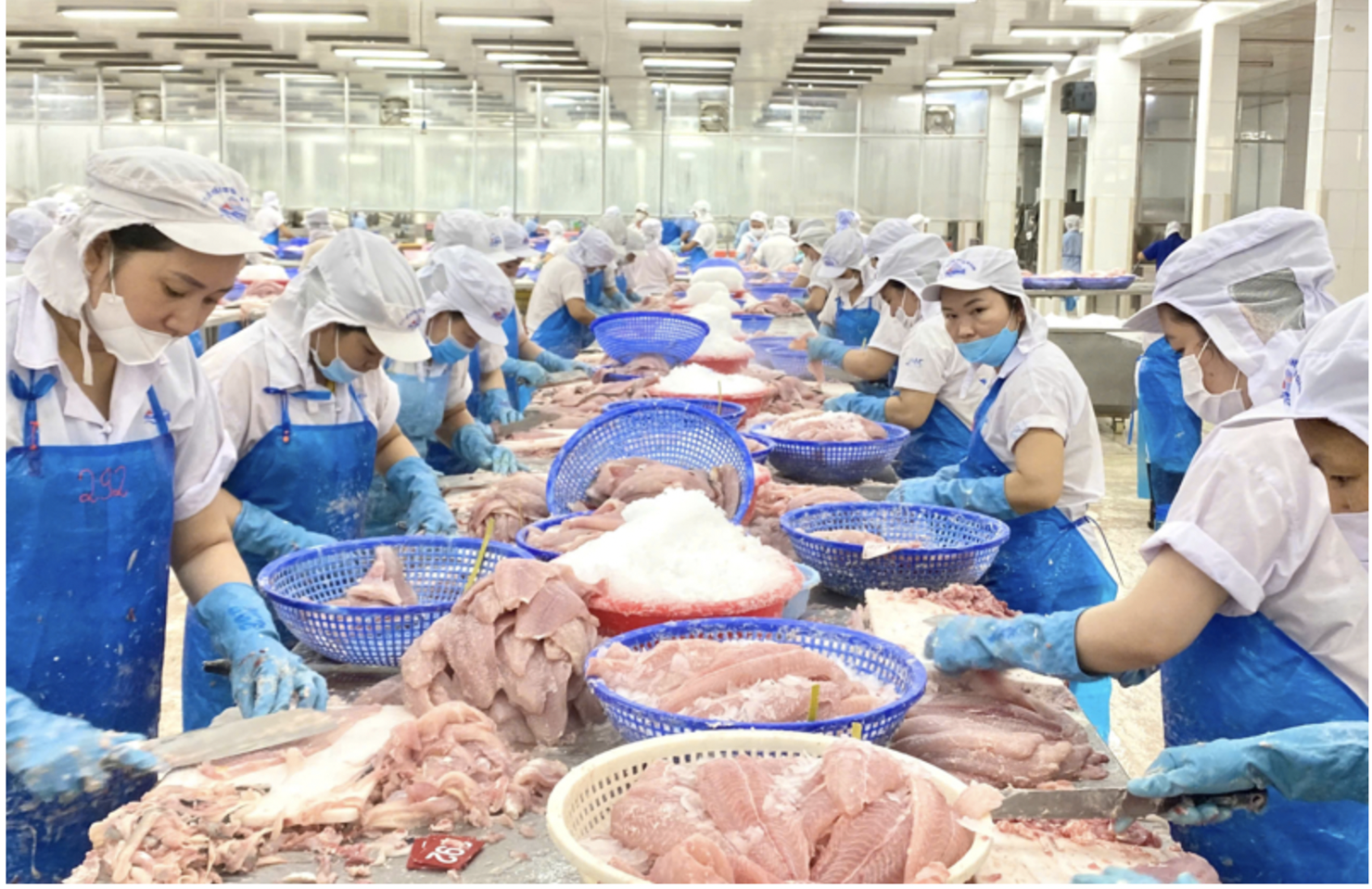 Các nhóm hàng xuất khẩu của Việt Nam đến Ai Cập gồm nông sản, thuỷ sản, linh kiện điện tử, máy móc thiết bị.