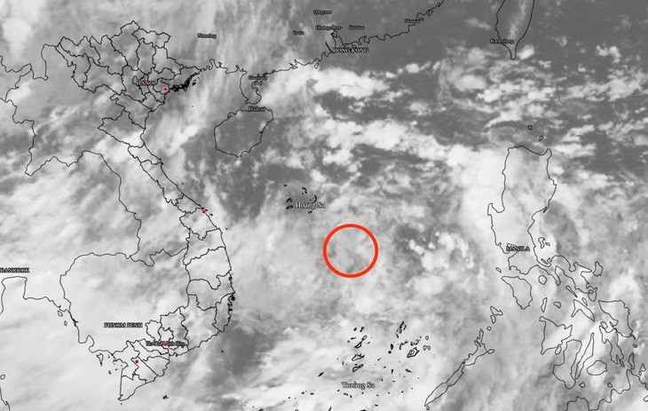 Dự báo vị trí vùng áp thấp.