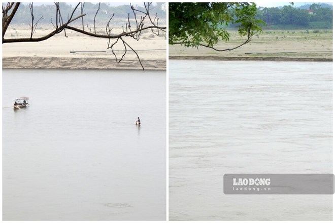 Hình ảnh sông Hồng tại Phú Thọ giữa mùa lũ