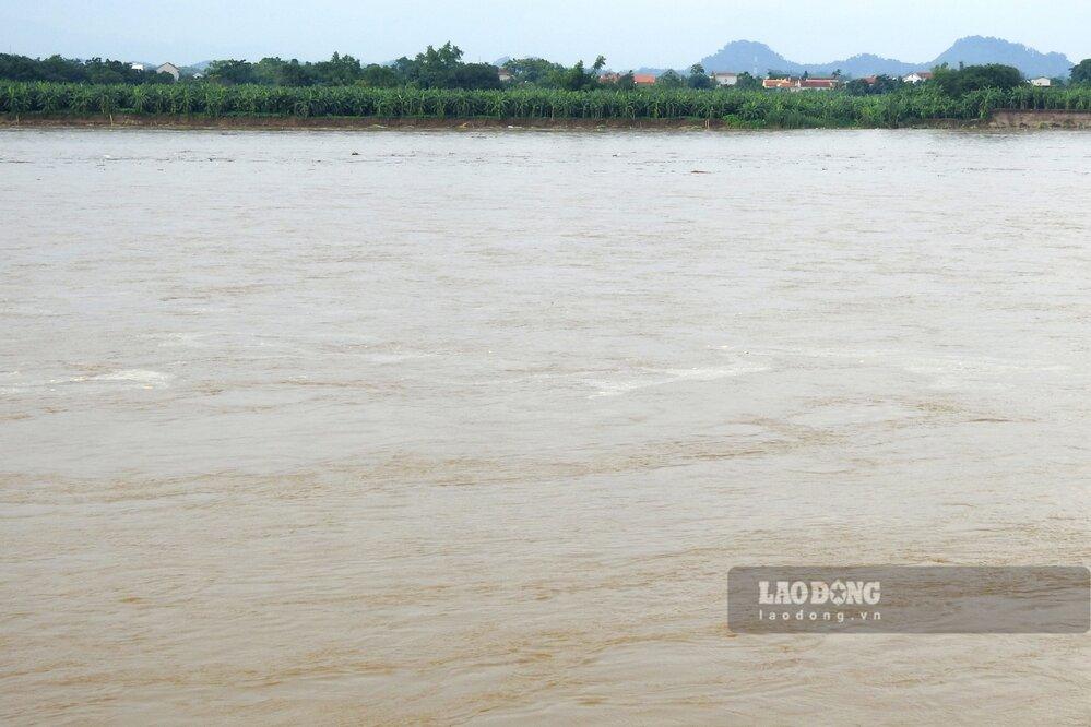 Vào mùa lũ hiện tại, sông Thao mênh mông nước. Ảnh: Tô Công.