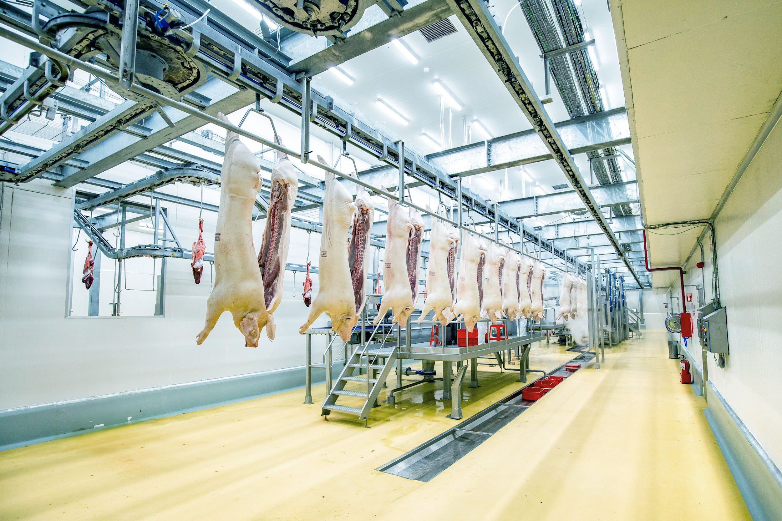 Dây chuyền sản xuất thịt ủ mát chuẩn Âu tại tổ hợp chế biến thịt MEATDeli tại Hà Nam - Copy (1)