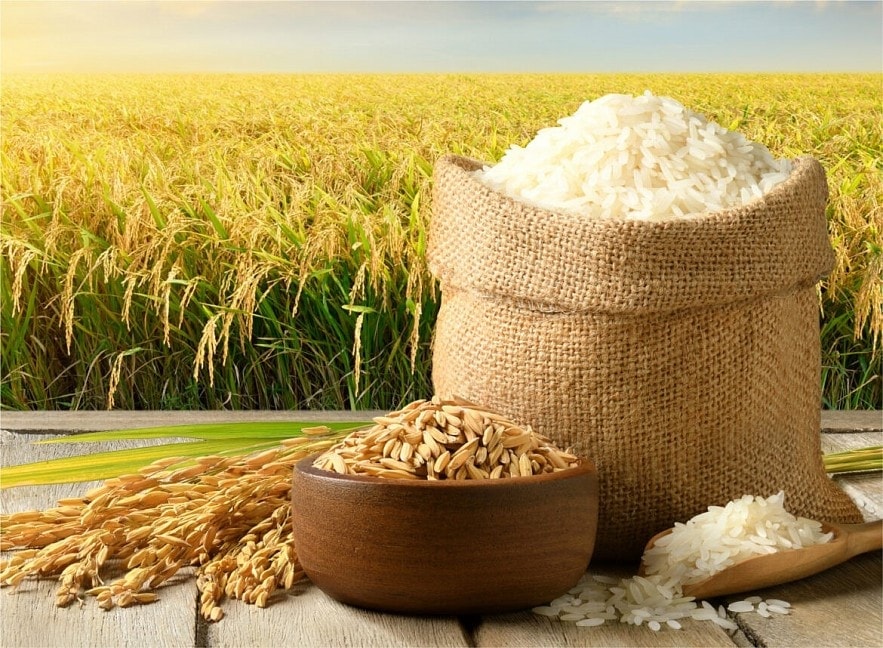Giá gạo hôm nay 28/8: Thị trường đi ngang, một số loại giảm nhẹ