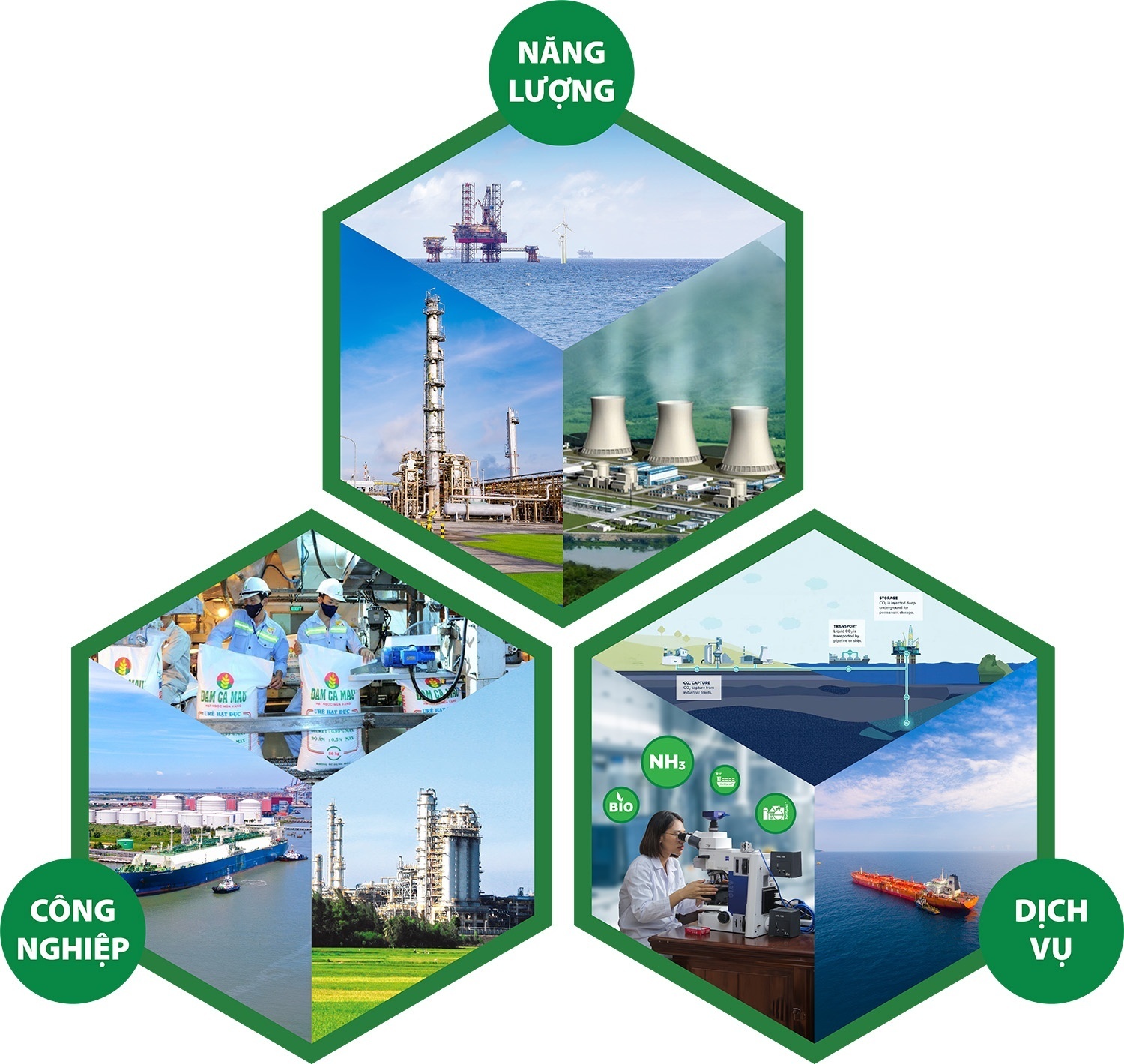 Hệ sinh thái Petrovietnam kiến tạo năng lực cốt lõi cho tăng trưởng xanh, bền vững