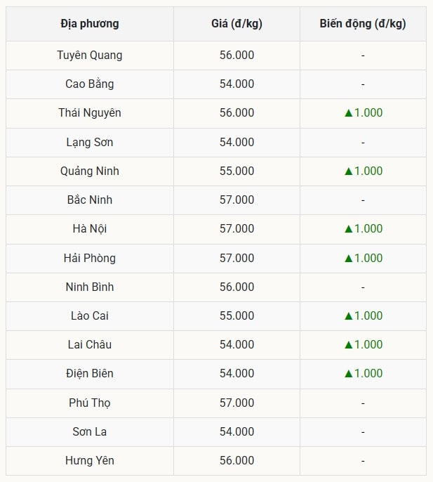Miền Bắc Tiếp tục nhịp tăng, đạt đỉnh 57.000 đồng kg