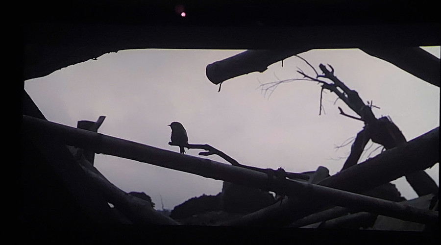 Ảnh chụp từ phim. phim-chien-tranh-viet-nam-3.jpg