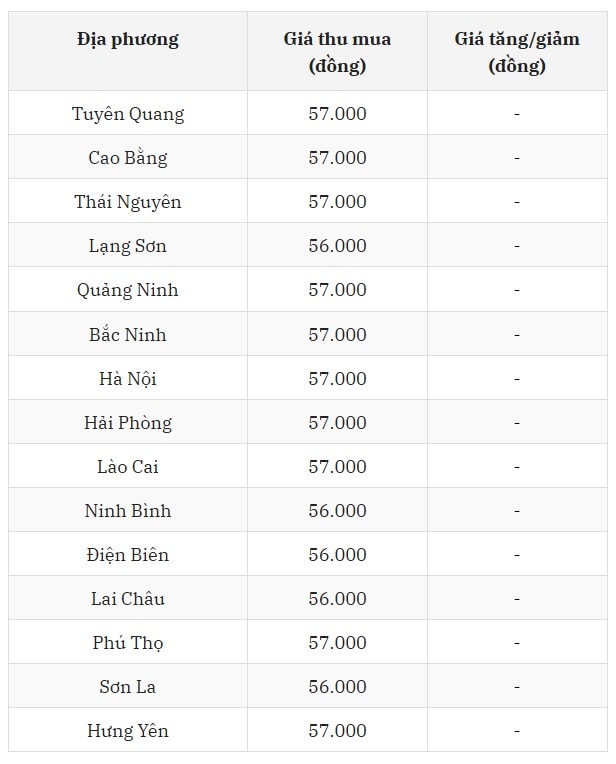 Giá heo hơi miền Bắc hôm nay duy trì sự ổn định, dao động từ 56.000 – 57.000 đồng kg