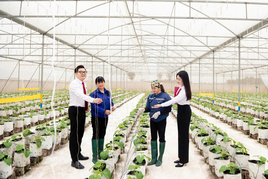 agribank-9.jpg