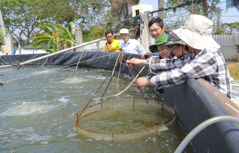 Thủy sản được xác định là ngành kinh tế mũi nhọn của TP Cần Thơ. Ảnh: Phương Anh