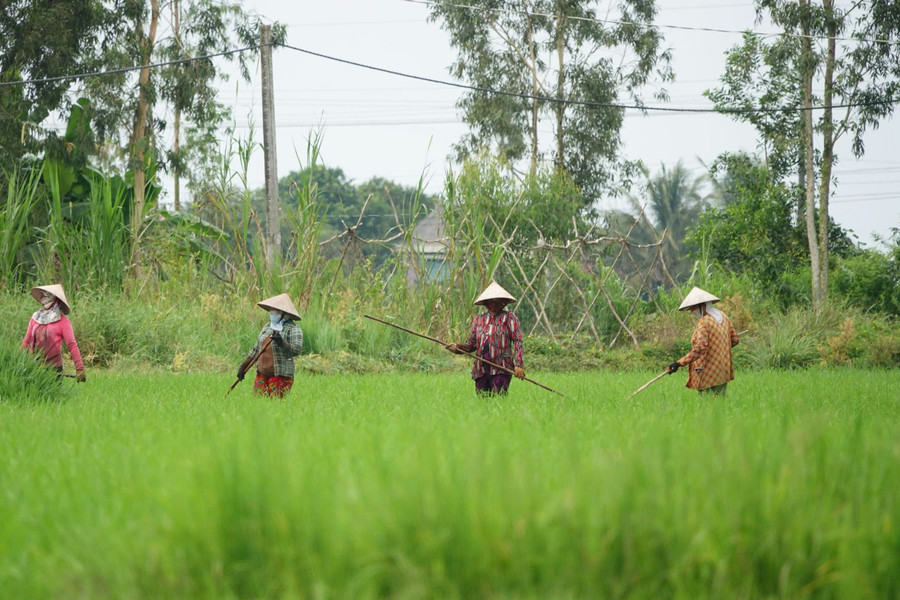 giam-ngheo-soc-trang.jpg