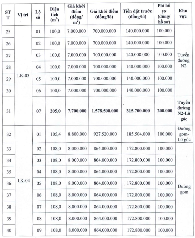 Thông tin một sô lô đất trong phiên đấu giá tại xã Vụ Bản, Ninh Bình. Ảnh: