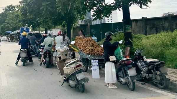 Làm gì để quản lý bán hàng rong