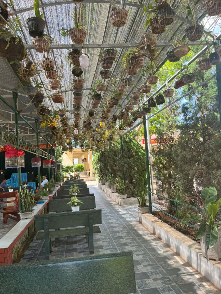 thu-vien-xanh-2.jpg