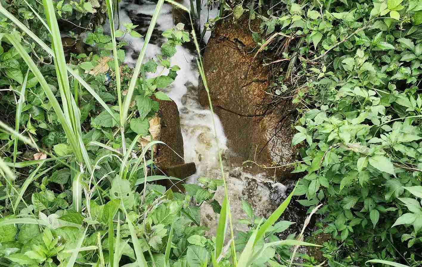 Núi rác tại Nhà máy xử lý rác nằm trên đồi cao khiến toàn bộ nước thải chảy tràn xuống mương nước bên cạnh rồi đổ ra suối Đại Lào (phường Bảo Lộc 3) ở hạ nguồn gây ô nhiễm.