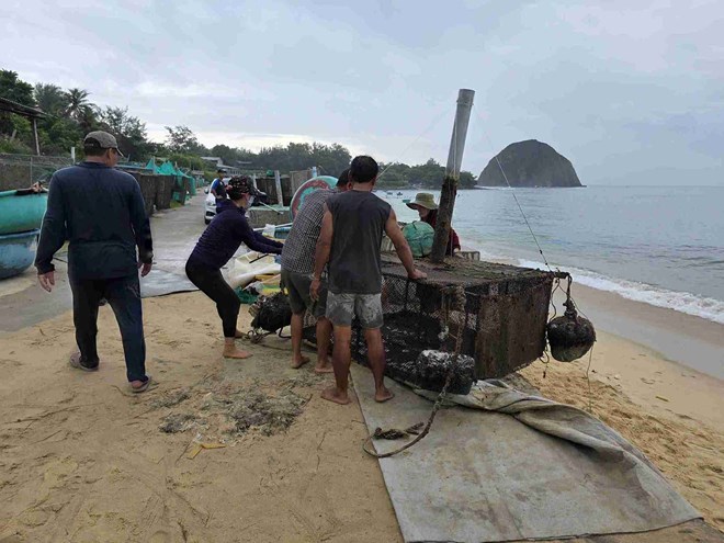 Người dân miền Trung tích trữ đèn pin, hối hả đưa tôm hùm chạy bão số 13