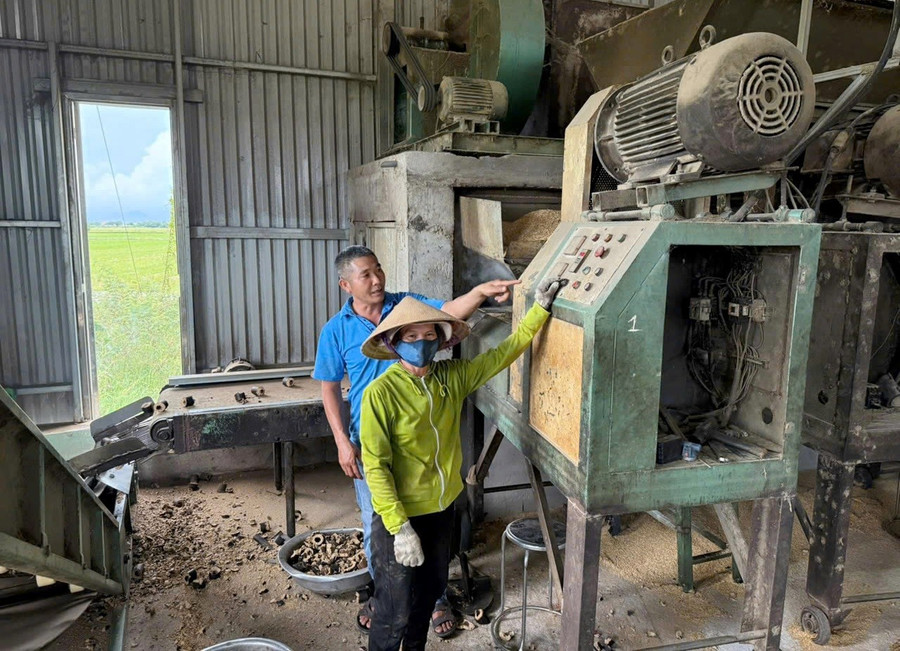 Với ý tưởng biến vỏ trấu thành củi trấu, hộ gia đình ông Lê Đức (xã Quảng Điền, TP Huế) có thu nhập hàng trăm triệu đồng mỗi năm.