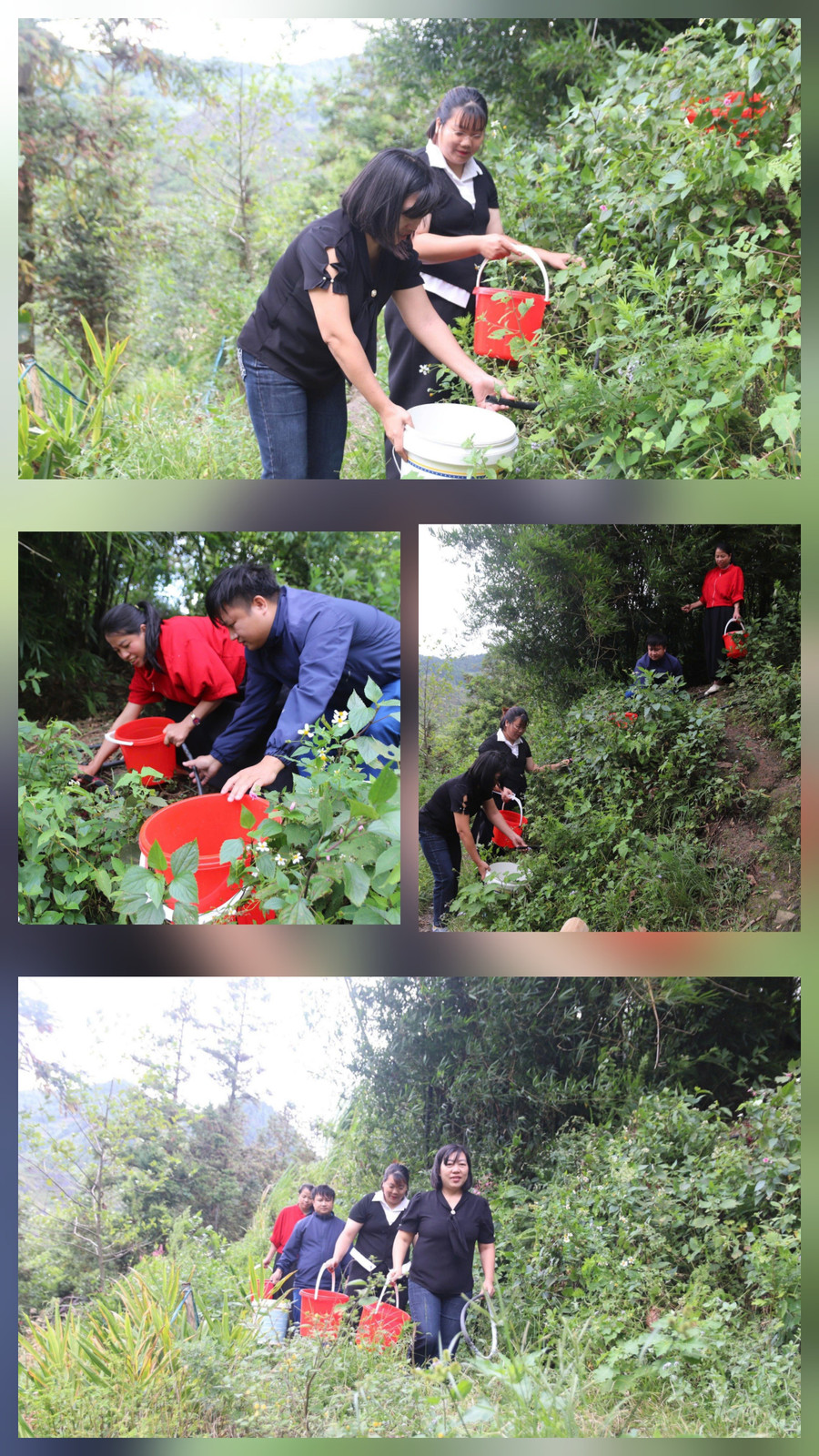 Các thầy cô điểm trường Thàn Chư, xã Sơn Vĩ đi lấy nước suối đầu nguồn để sinh hoạt. 1000044105.jpg