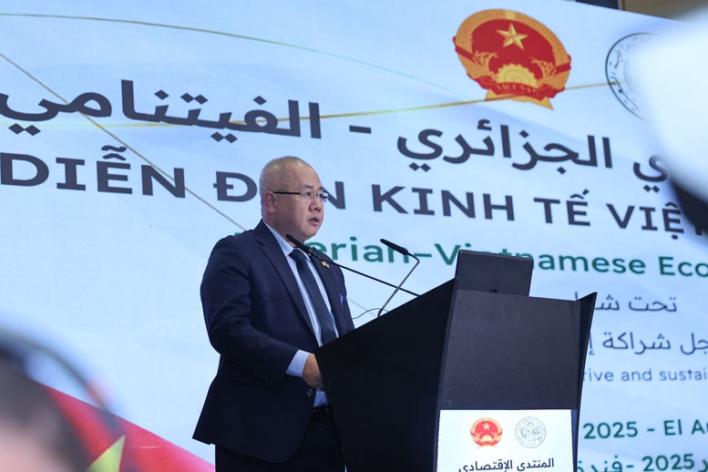 Thủ tướng mời gọi doanh nghiệp Việt Nam đầu tư tại Algeria để xuất khẩu sang 3 châu lục- Ảnh 4. Thủ tướng mời gọi doanh nghiệp Việt Nam đầu tư tại Algeria để xuất khẩu sang 3 châu lục- Ảnh 4.