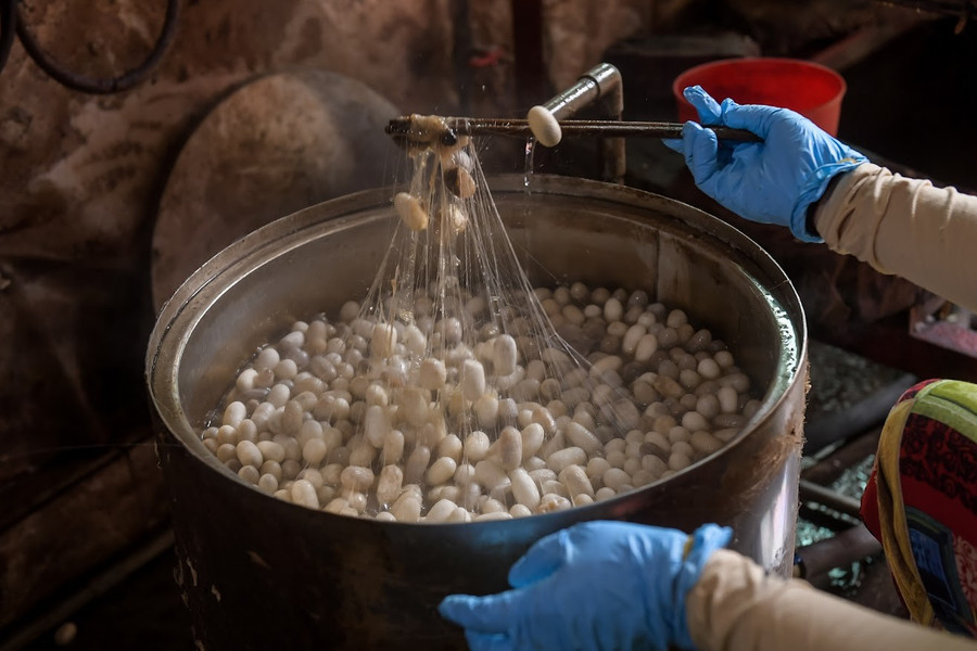 Người thợ ươm tơ thủ công liên tục dùng đũa đảo kén để tìm mối tơ. gin-giu-tinh-hoa-to-tam-co-chat-4.jpg