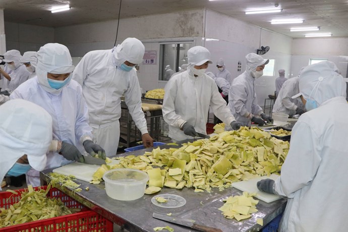 CĐCS Công ty Yamazaki thi đua sáng tạo, nâng cao thu nhập cho người lao động