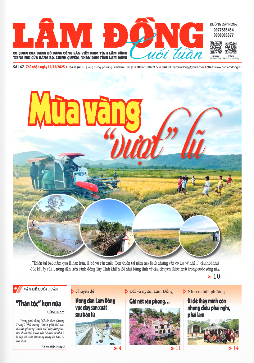 Ảnh chụp Màn hình 2025-12-14 lúc 10.05.37