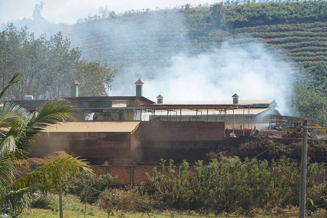 Lò sấy cà phê ở Quảng Ngãi gây ô nhiễm môi trường