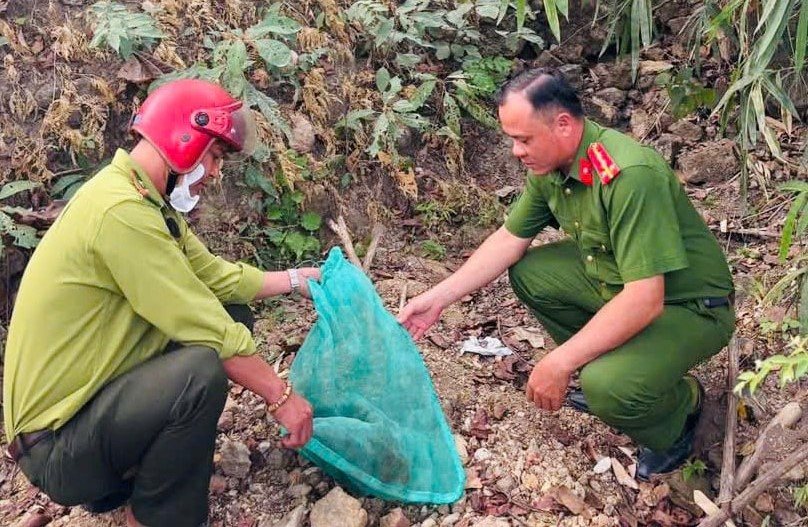 Cơ quan chức năng tỉnh Lâm Đồng tái thả động vật rừng về môi trường tự nhiên. Ảnh: Công an cung cấp