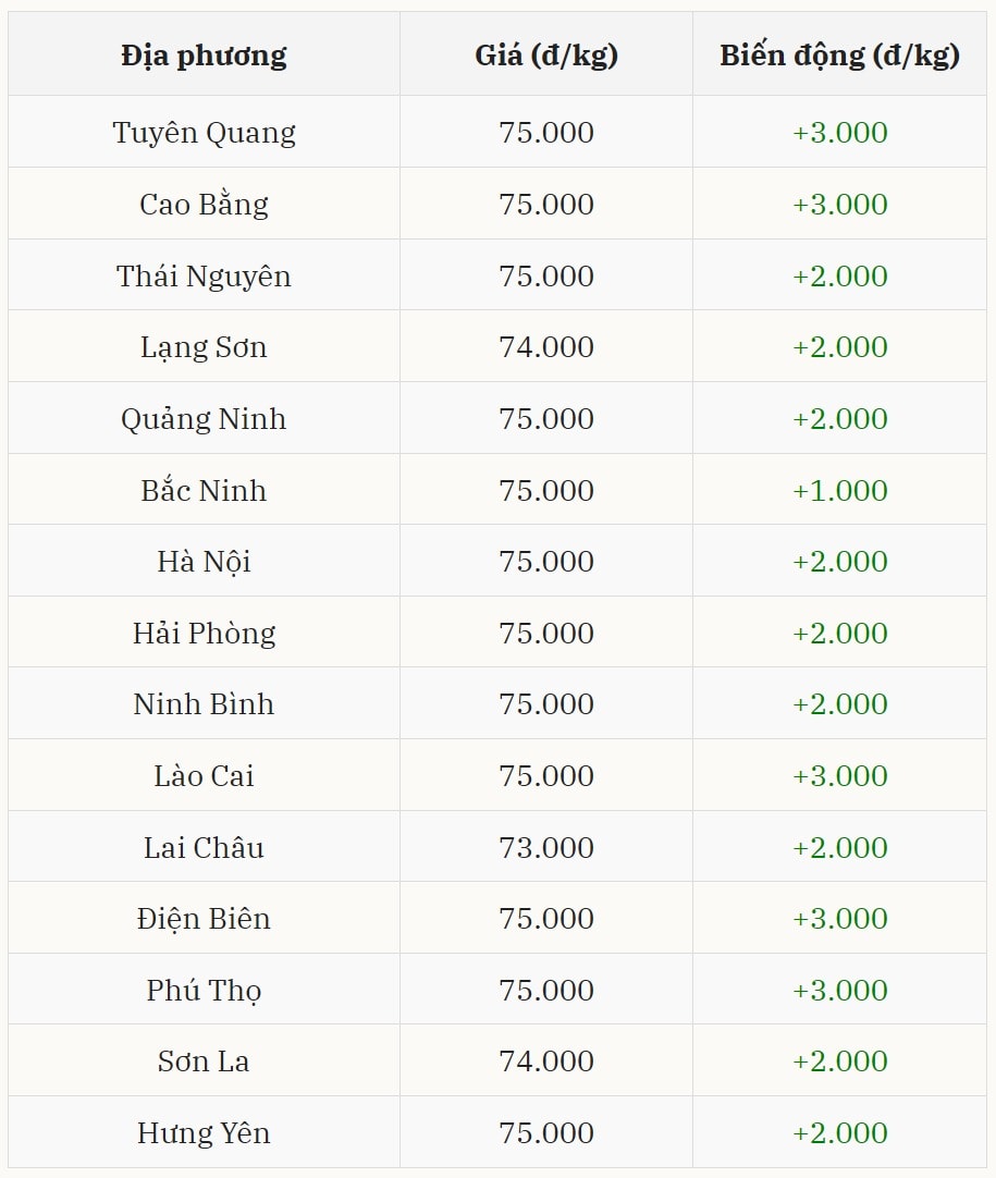 Miền Bắc bứt phá mạnh, nhiều địa phương đạt 75.000 đồng kg