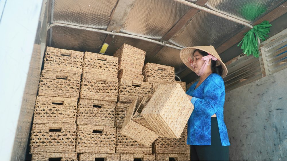 Bà Trần Thị Thu Ngân, Giám đốc HTX chất hàng lên xe để chở đi giao cho công ty. Ảnh: Nguyên Anh