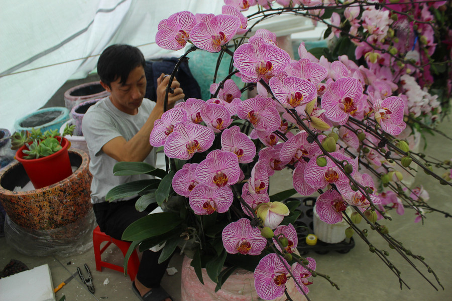 Trung bình mỗi ngày thợ lành nghề có thể thực hiện cắm từ 300-400 cành. img-6840.jpg