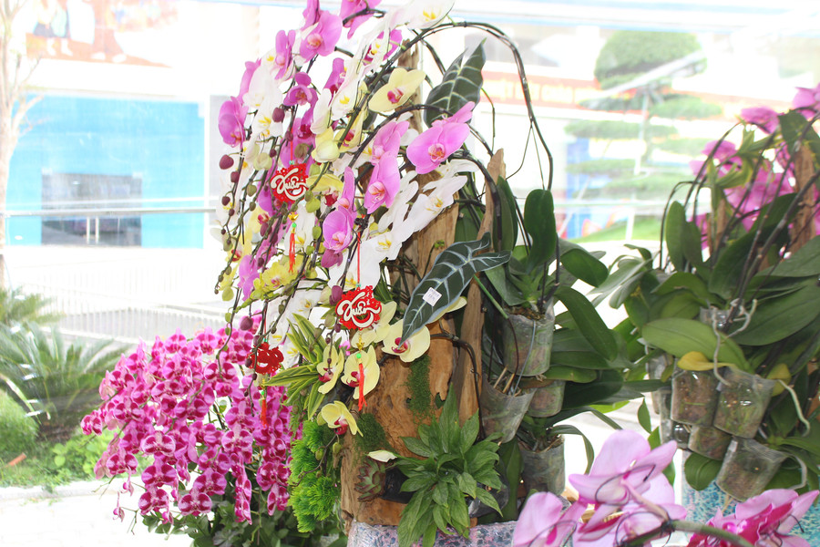 Các cửa hàng không ngừng cập nhật đổi mới xu hướng và cách tạo hình. img-6939.jpg