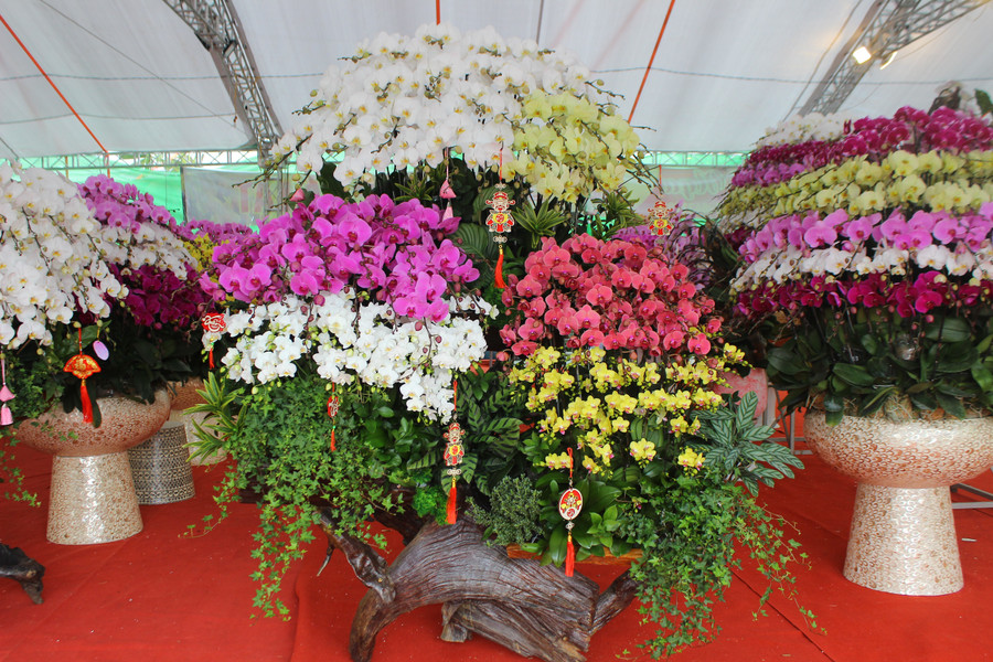 Một tác phẩm lan trên gỗ lũa có giá khoảng 40 triệu đồng. img-6921.jpg