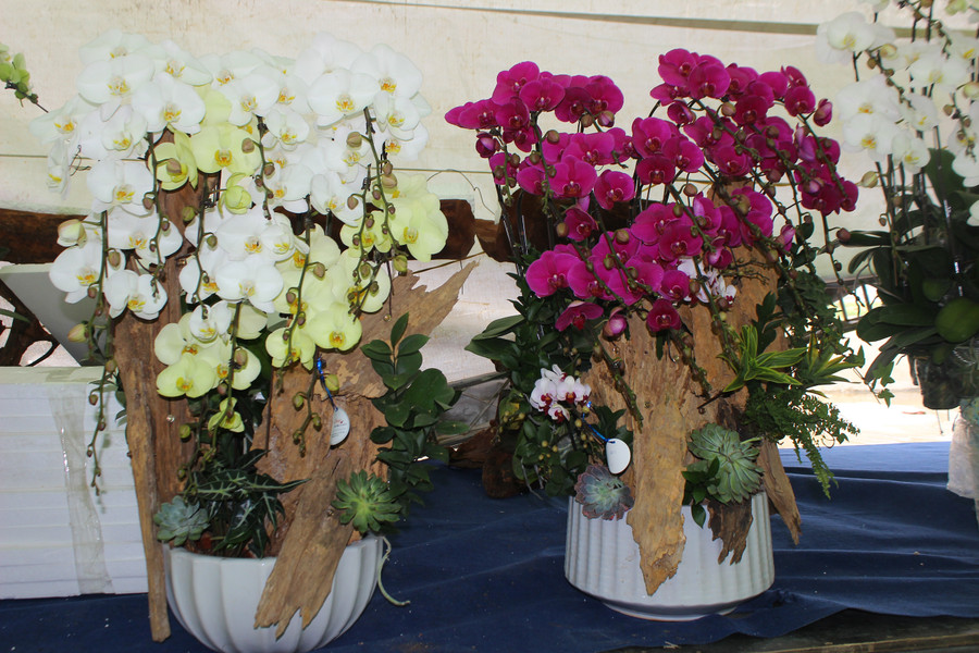 Các cửa hàng cũng linh hoạt thiết kế những mẫu nhỏ hơn, giá từ khoảng 1,5 - 4,5 triệu đồng. img-6856.jpg